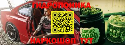 спиды Канаш