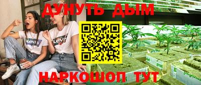 гидра Кандалакша