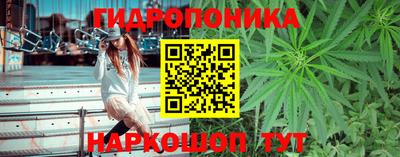 гидра Кандалакша