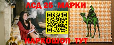 мет Камышлов